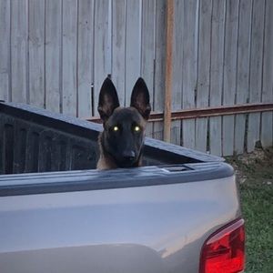 Meet your Posher, Gilberto